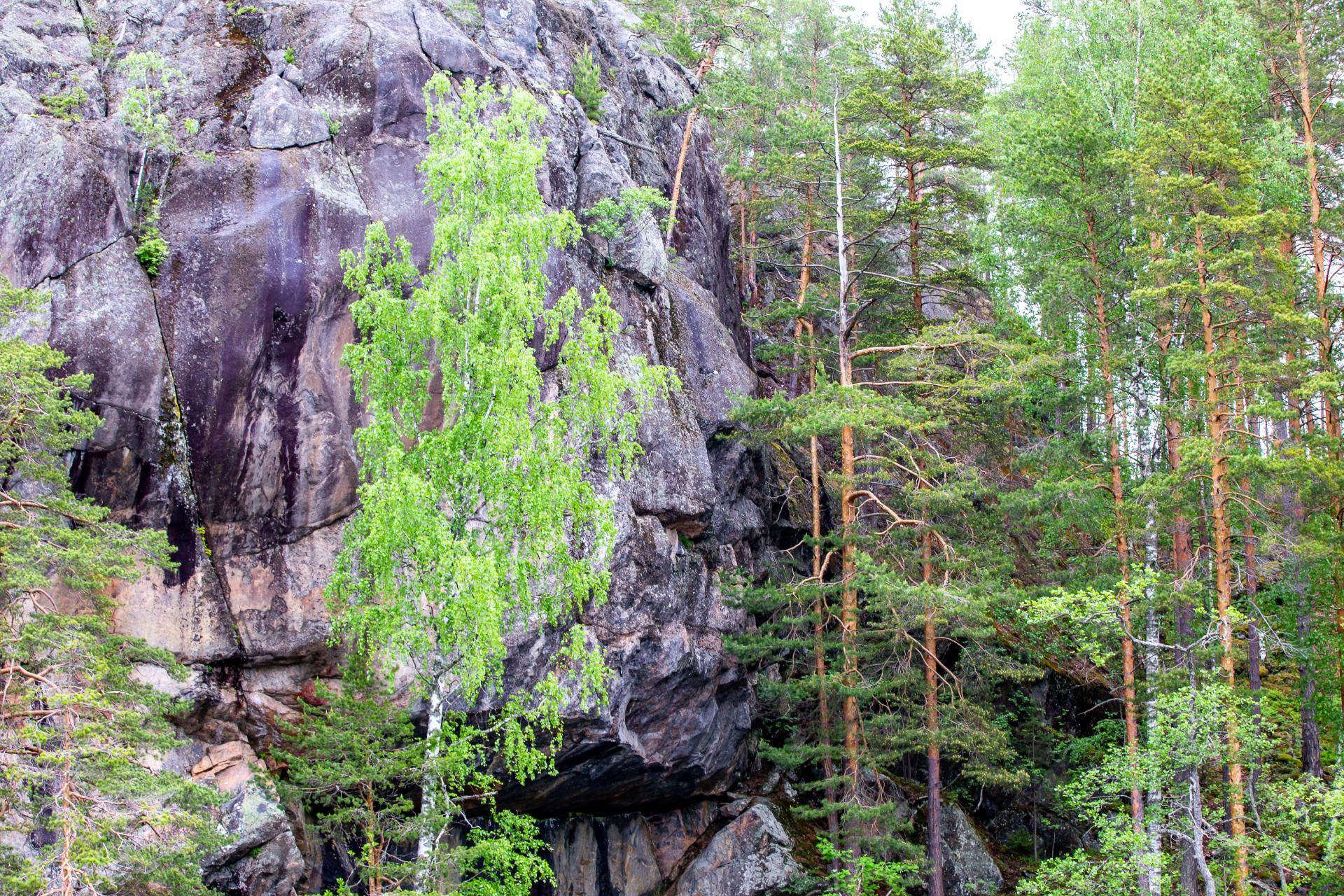 A large rock wall resembling the side profile of face of sleeping human. 