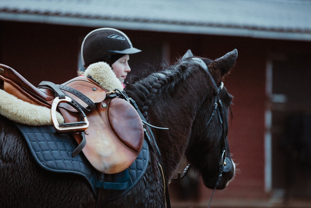 Tyttö ja satuloitu hevonen valmiina ratsastustunnille. 