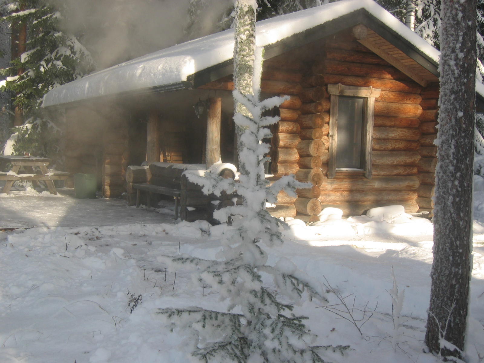 A smoke sauna made of round logs in a snowy forest.