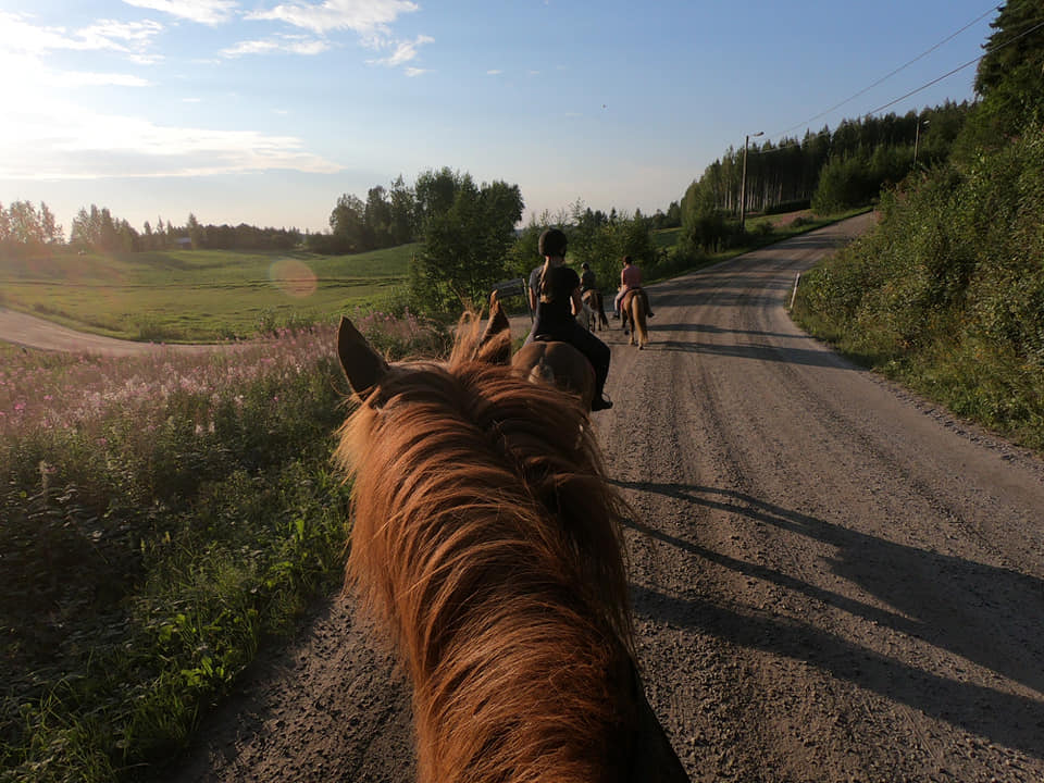 Ratsastajia hevosten selässä hiekkatiellä kesällä.
