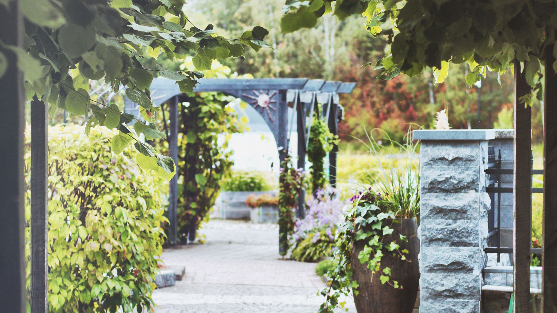 Puistossa käytävä, pergoloita ja istutuksia.