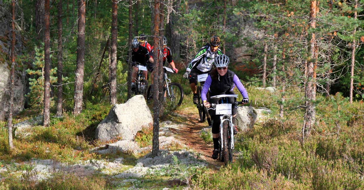 Mäntyharju Fascinating nature and local culture Visit Mikkeli