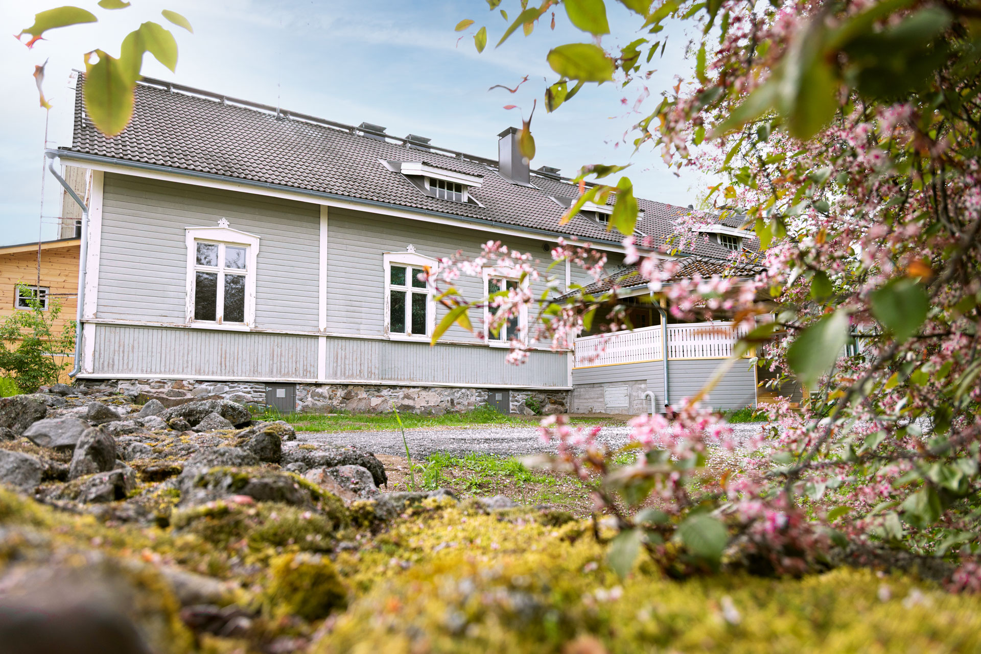 Kalliotaiteen opastuskeskus Astuva Ristiinassa